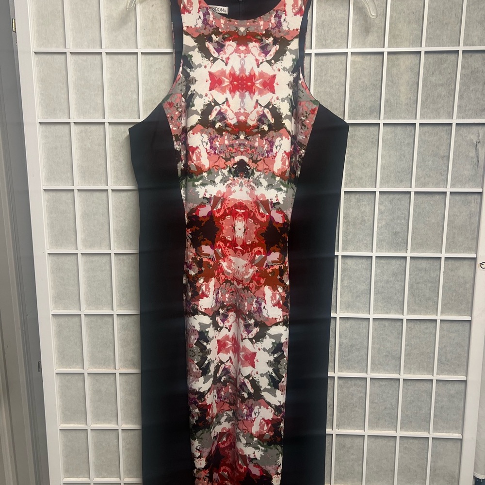 Maggy London Black and Red Floral Midi Dress